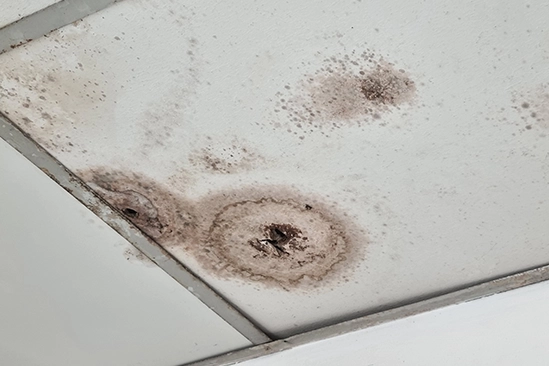 Technician removing damaged drywall after indoor flooding in residential room